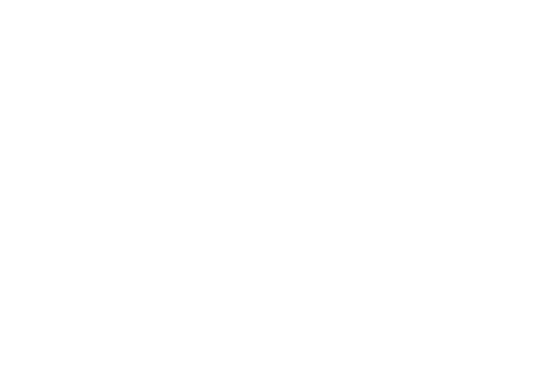 Project Nim