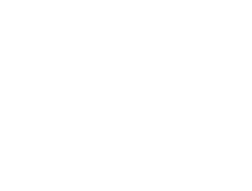 School Life