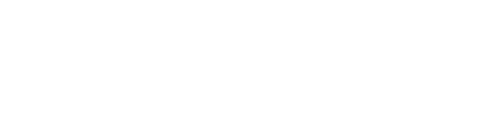 The Accidental Detective