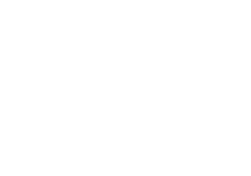 The Second Woman