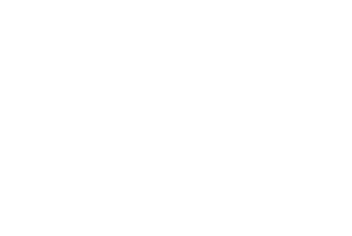 The Man with the Iron Heart