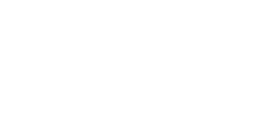The Crazies