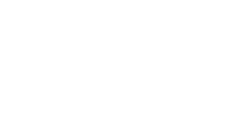 The Night Hawk