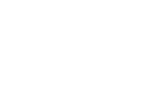Nighthawks