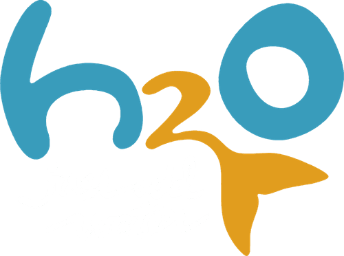 H2O: Just Add Water