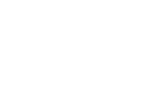 Ring 0