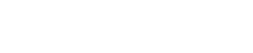 The Partisan