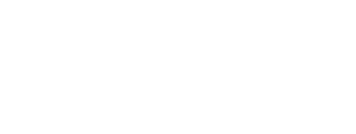 Secret City