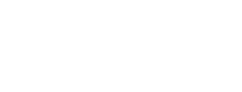 The New Employee