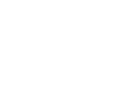 Bye Bye Morons