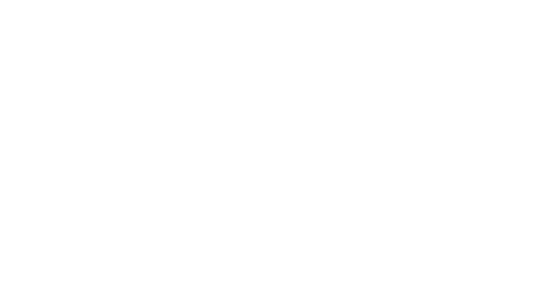The Dink