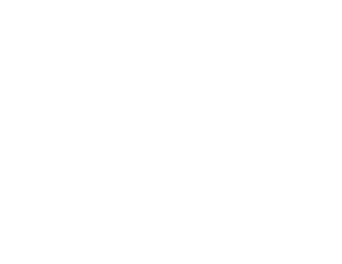 Around the World in 80 Days