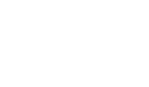 Mr. Wong in Chinatown