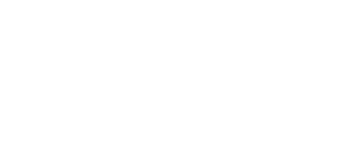 The Good Detective