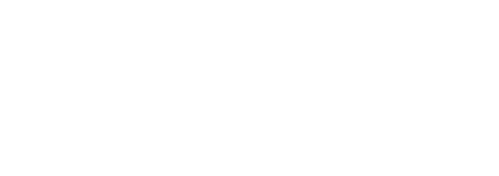 Dolphin Tale 2