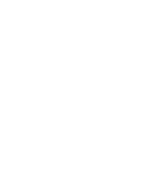 The Divorce of Lady X
