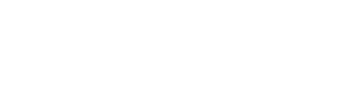 The Visit