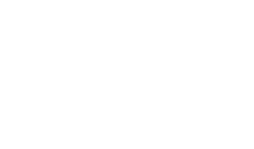 Salem's Lot