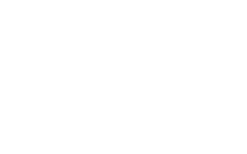 The Tin Drum
