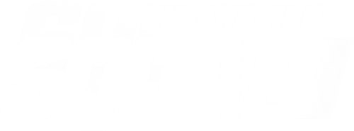Hit-and-Run Squad