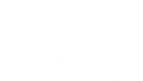Detective Conan: Sunflowers of Inferno