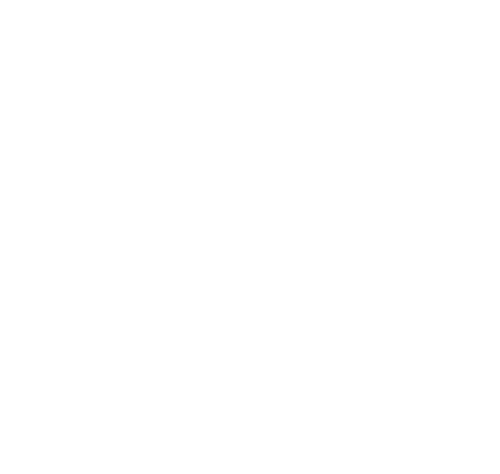 The Woman