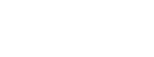 The Flight Attendant