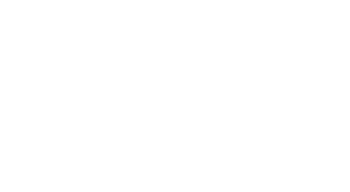 The Snoopy Show