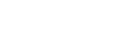 Pokémon: Twilight Wings
