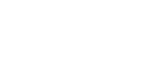 The Tamarind Seed