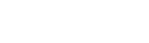The Bridge