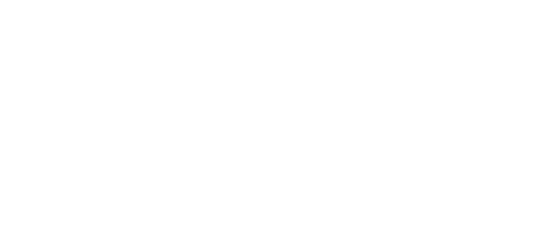 The Bisexual