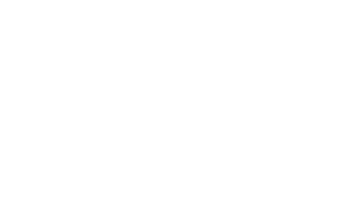 F Troop