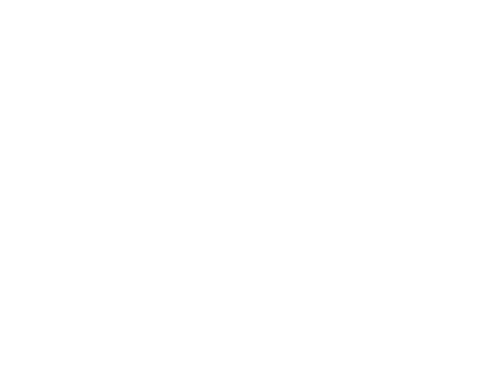 The Cat Came Back