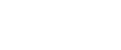 The Swindle