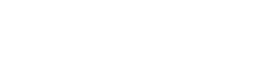 The Beanie Bubble