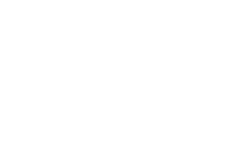 The Rise of the Red Hot Chili Peppers: Our Brother, Hillel