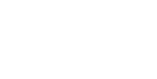 Cunning Single Lady