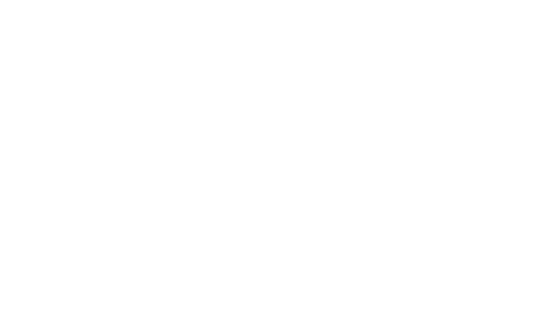 Secret Love Affair