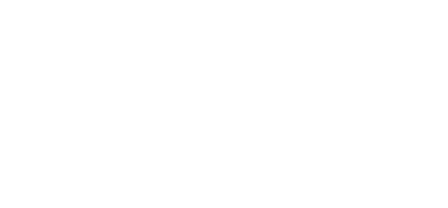 Secret Service