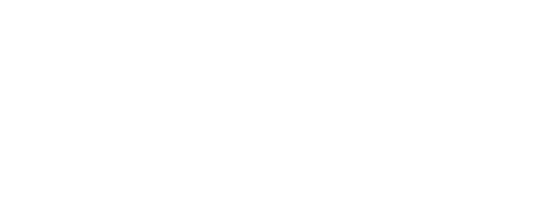 The Adults