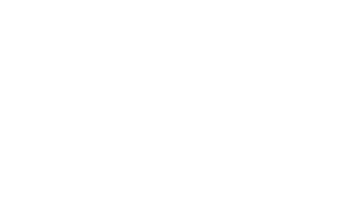 Modest Heroes