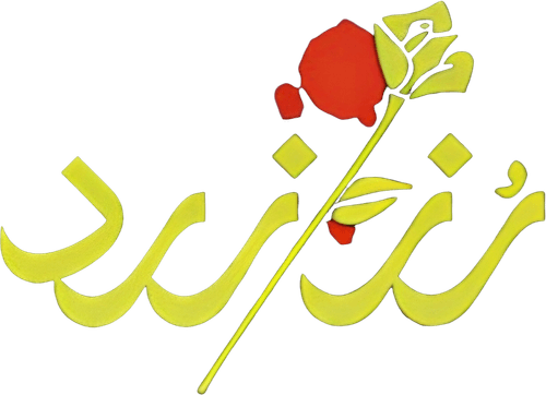 The Yellow Rose
