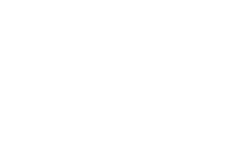 The Crow Girl