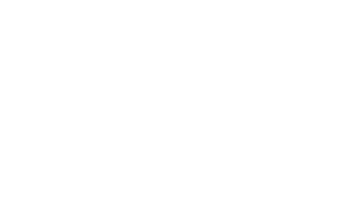 Spies in Disguise