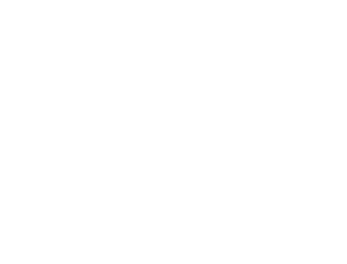 The Vow