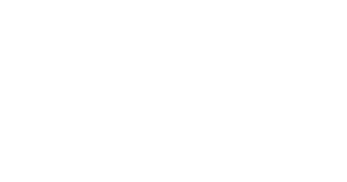 The American