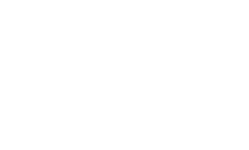 The Wasp