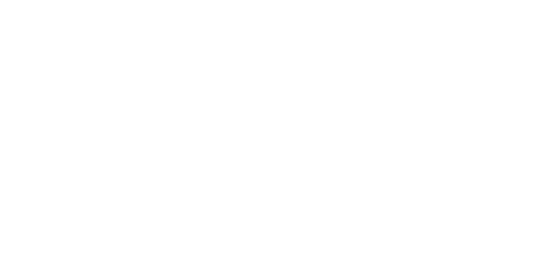 The Werewolf of Washington