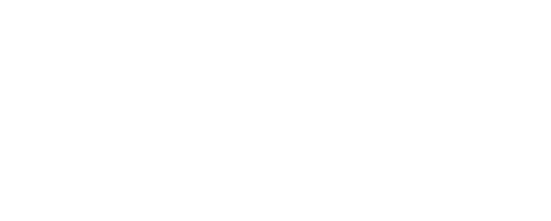 The Rink